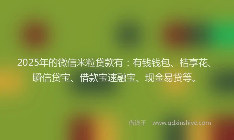 2025年的微信米粒贷款有：有钱钱包、桔享花、瞬信贷宝、借款宝速融宝、现金易贷等。