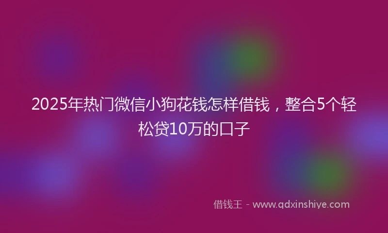 2025年热门微信小狗花钱怎样借钱，整合5个轻松贷10万的口子