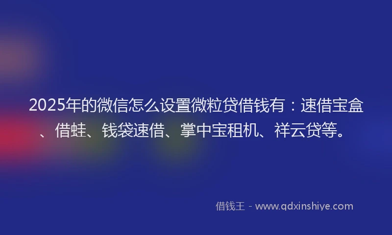 2025年的微信怎么设置微粒贷借钱有：速借宝盒、借蛙、钱袋速借、掌中宝租机、祥云贷等。