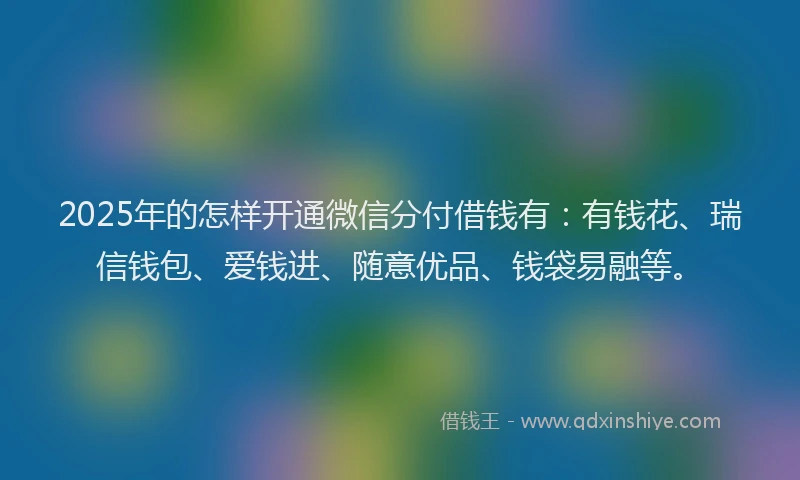 2025年的怎样开通微信分付借钱有：有钱花、瑞信钱包、爱钱进、随意优品、钱袋易融等。
