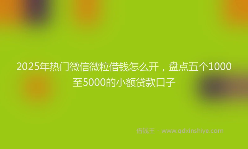2025年热门微信微粒借钱怎么开，盘点五个1000至5000的小额贷款口子