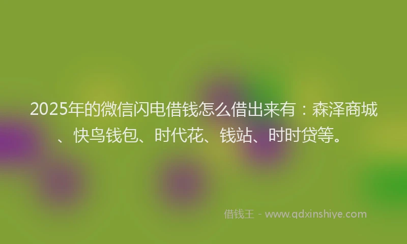 2025年的微信闪电借钱怎么借出来有：森泽商城、快鸟钱包、时代花、钱站、时时贷等。