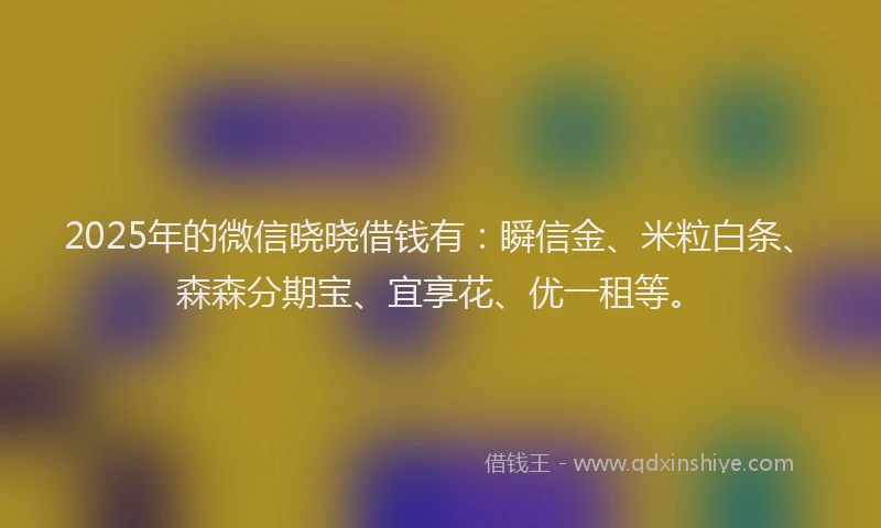 2025年的微信晓晓借钱有：瞬信金、米粒白条、森森分期宝、宜享花、优一租等。