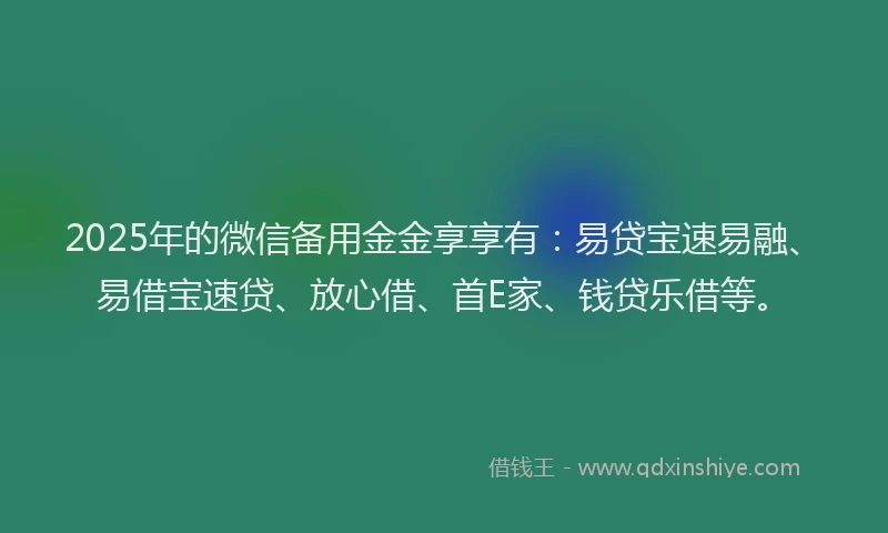 2025年的微信备用金金享享有：易贷宝速易融、易借宝速贷、放心借、首E家、钱贷乐借等。