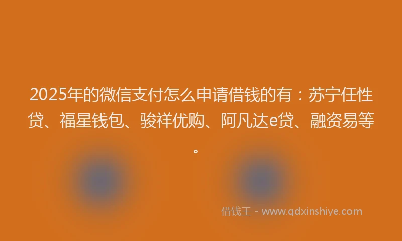 2025年的微信支付怎么申请借钱的有：苏宁任性贷、福星钱包、骏祥优购、阿凡达e贷、融资易等。