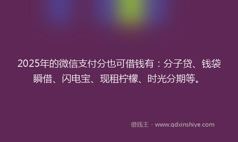 2025年的微信支付分也可借钱有：分子贷、钱袋瞬借、闪电宝、现租柠檬、时光分期等。