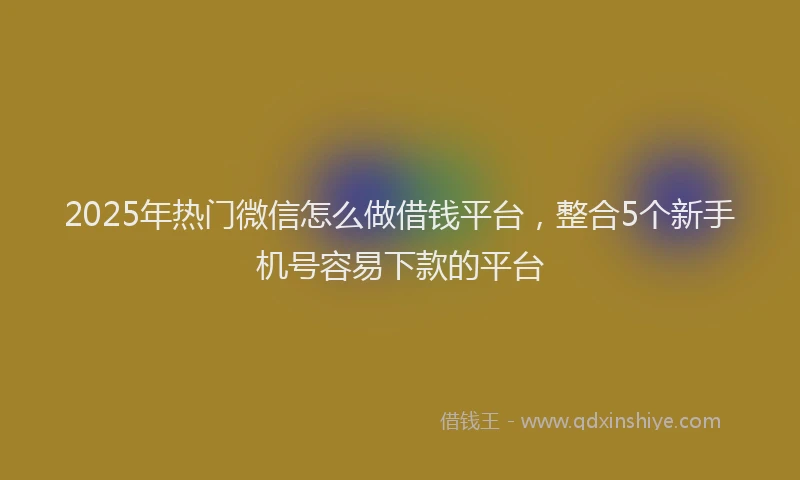2025年热门微信怎么做借钱平台，整合5个新手机号容易下款的平台