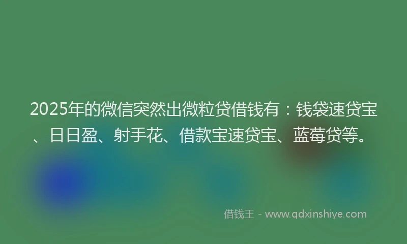 2025年的微信突然出微粒贷借钱有：钱袋速贷宝、日日盈、射手花、借款宝速贷宝、蓝莓贷等。