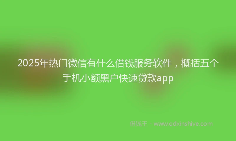 2025年热门微信有什么借钱服务软件，概括五个手机小额黑户快速贷款app