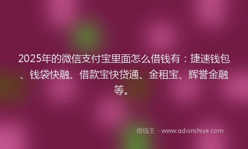 2025年的微信支付宝里面怎么借钱有：捷速钱包、钱袋快融、借款宝快贷通、金租宝、辉誉金融等。