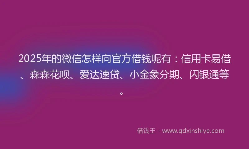 2025年的微信怎样向官方借钱呢有：信用卡易借、森森花呗、爱达速贷、小金象分期、闪银通等。