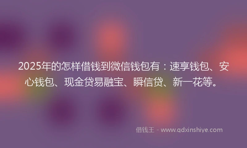 2025年的怎样借钱到微信钱包有：速享钱包、安心钱包、现金贷易融宝、瞬信贷、新一花等。