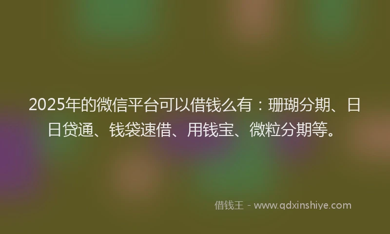 2025年的微信平台可以借钱么有：珊瑚分期、日日贷通、钱袋速借、用钱宝、微粒分期等。