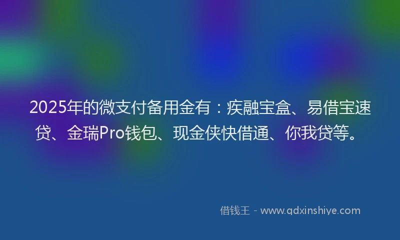 2025年的微支付备用金有：疾融宝盒、易借宝速贷、金瑞Pro钱包、现金侠快借通、你我贷等。