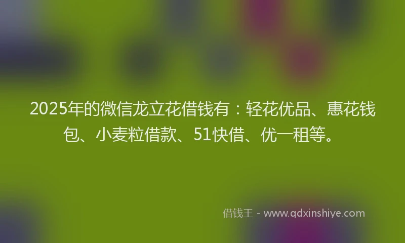 2025年的微信龙立花借钱有：轻花优品、惠花钱包、小麦粒借款、51快借、优一租等。