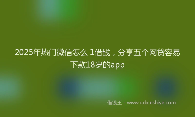 2025年热门微信怎么 1借钱，分享五个网贷容易下款18岁的app