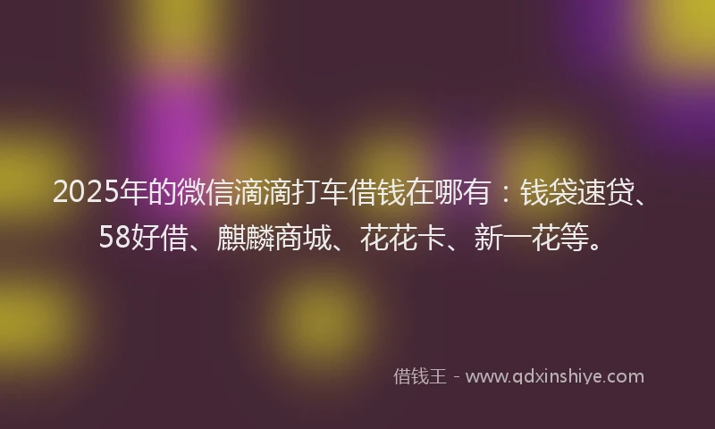 2025年的微信滴滴打车借钱在哪有：钱袋速贷、58好借、麒麟商城、花花卡、新一花等。