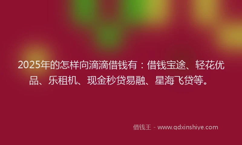 2025年的怎样向滴滴借钱有：借钱宝途、轻花优品、乐租机、现金秒贷易融、星海飞贷等。