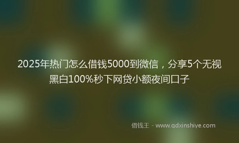 2025年热门怎么借钱5000到微信，分享5个无视黑白100%秒下网贷小额夜间口子