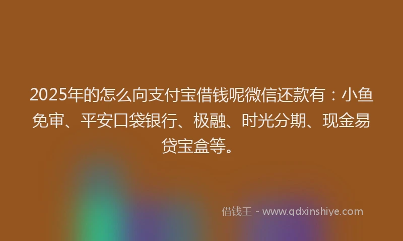 2025年的怎么向支付宝借钱呢微信还款有：小鱼免审、平安口袋银行、极融、时光分期、现金易贷宝盒等。