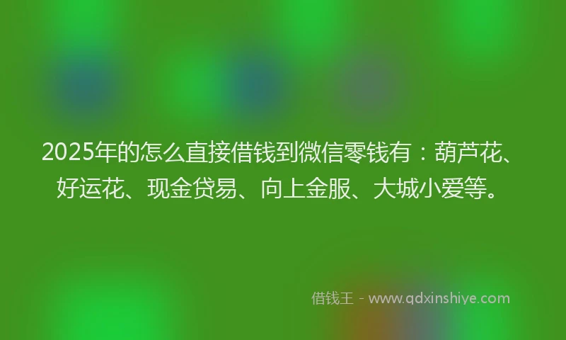 2025年的怎么直接借钱到微信零钱有:葫芦花、好运花、现金贷易、向上金服、大城小爱等。
