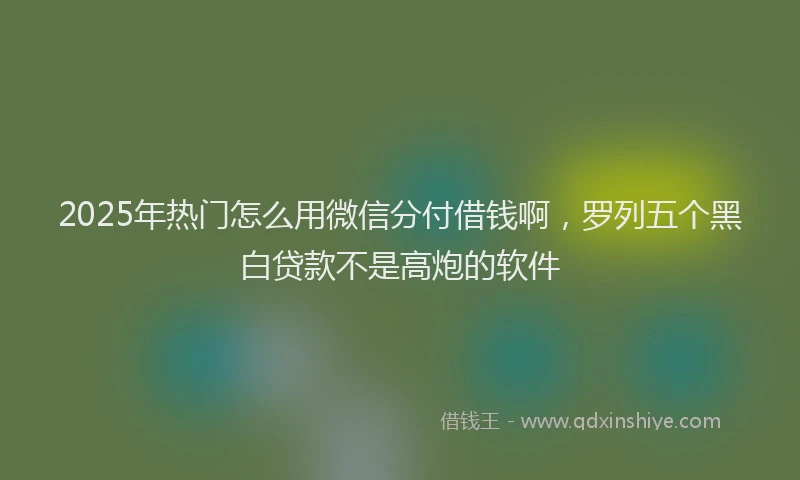 2025年热门怎么用微信分付借钱啊，罗列五个黑白贷款不是高炮的软件