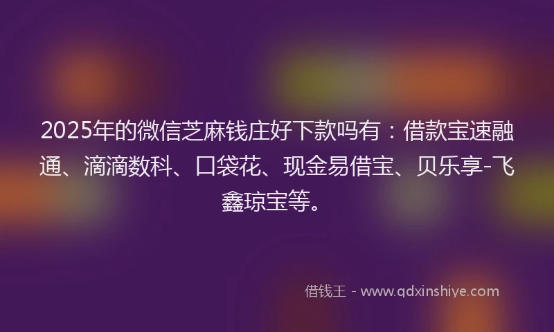 2025年的微信芝麻钱庄好下款吗有：借款宝速融通、滴滴数科、口袋花、现金易借宝、贝乐享-飞鑫琼宝等。