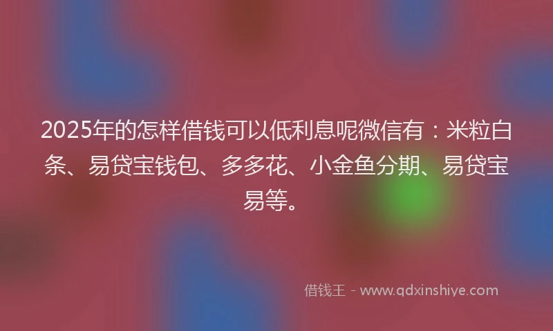 2025年的怎样借钱可以低利息呢微信有：米粒白条、易贷宝钱包、多多花、小金鱼分期、易贷宝易等。