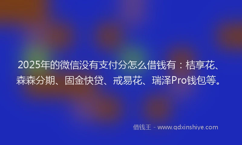 2025年的微信没有支付分怎么借钱有：桔享花、森森分期、固金快贷、戒易花、瑞泽Pro钱包等。