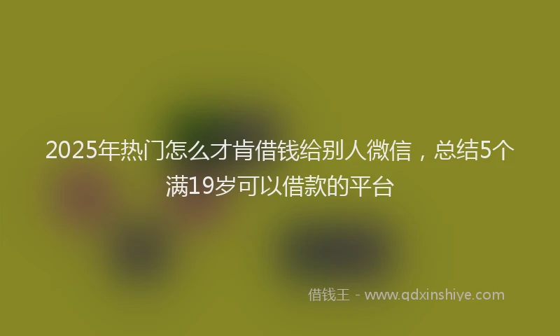 2025年热门怎么才肯借钱给别人微信，总结5个满19岁可以借款的平台