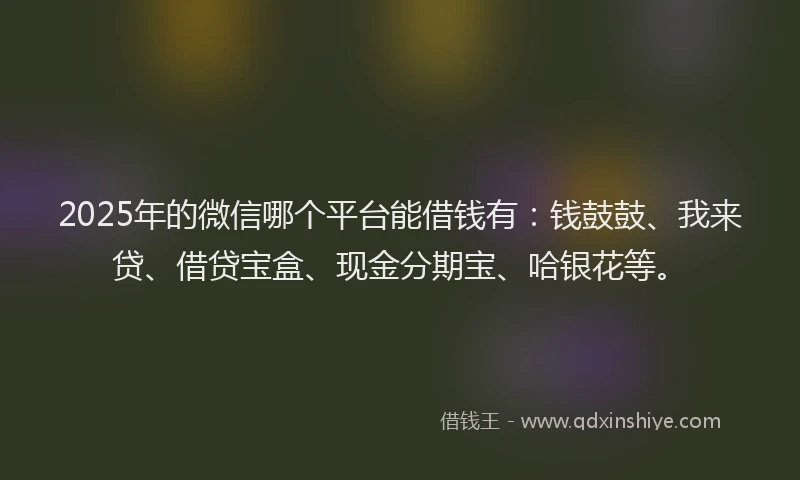 2025年的微信哪个平台能借钱有：钱鼓鼓、我来贷、借贷宝盒、现金分期宝、哈银花等。