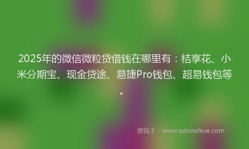 2025年的微信微粒贷借钱在哪里有：桔享花、小米分期宝、现金贷途、易捷Pro钱包、超易钱包等。
