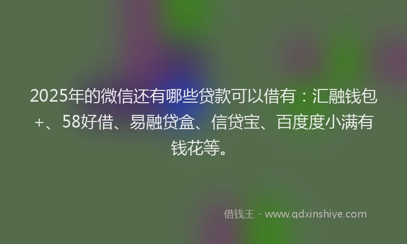 2025年的微信还有哪些贷款可以借有：汇融钱包+、58好借、易融贷盒、信贷宝、百度度小满有钱花等。