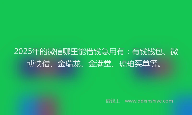 2025年的微信哪里能借钱急用有：有钱钱包、微博快借、金瑞龙、金满堂、琥珀买单等。