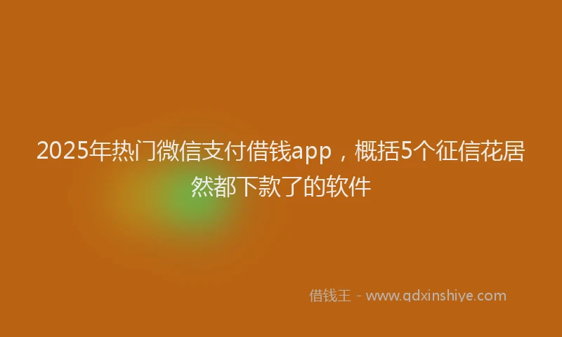 2025年热门微信支付借钱app，概括5个征信花居然都下款了的软件