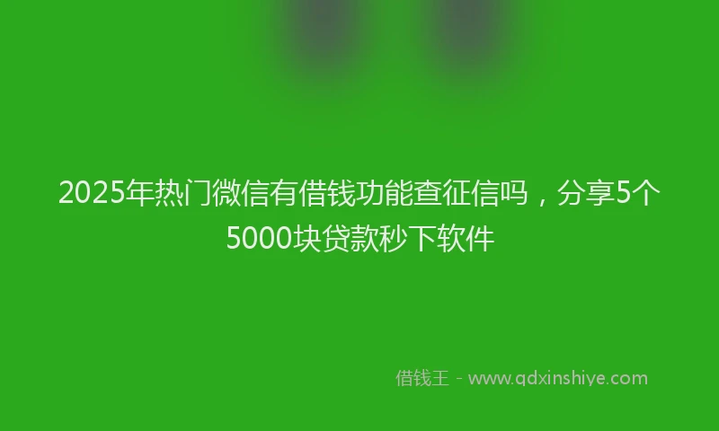 2025年热门微信有借钱功能查征信吗，分享5个5000块贷款秒下软件