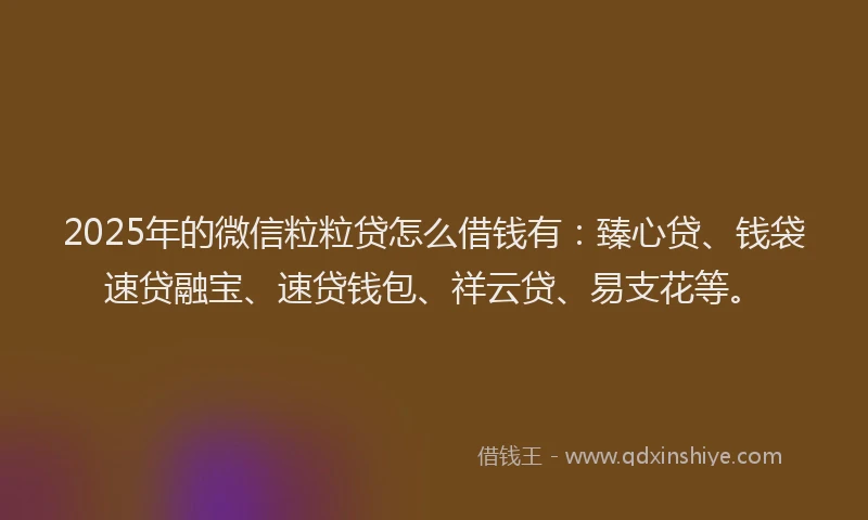 2025年的微信粒粒贷怎么借钱有：臻心贷、钱袋速贷融宝、速贷钱包、祥云贷、易支花等。