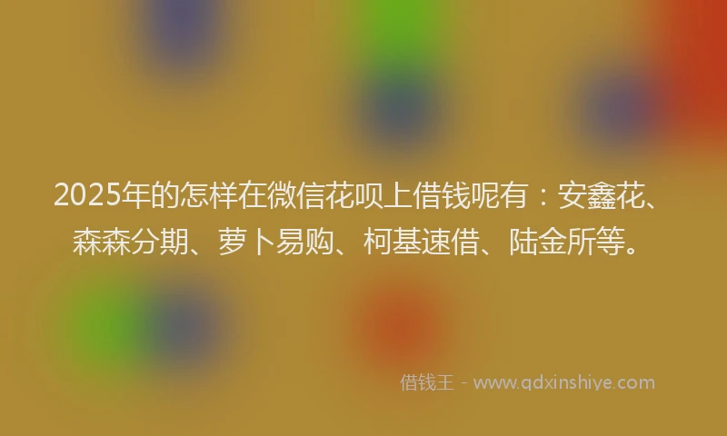 2025年的怎样在微信花呗上借钱呢有：安鑫花、森森分期、萝卜易购、柯基速借、陆金所等。