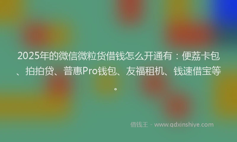 2025年的微信微粒货借钱怎么开通有：便荔卡包、拍拍贷、普惠Pro钱包、友福租机、钱速借宝等。