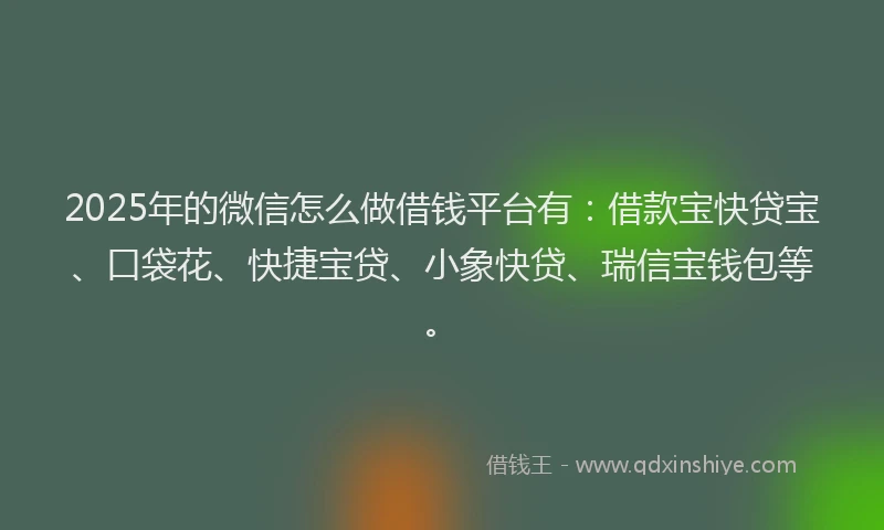 2025年的微信怎么做借钱平台有：借款宝快贷宝、口袋花、快捷宝贷、小象快贷、瑞信宝钱包等。
