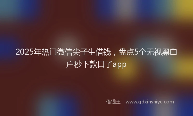 2025年热门微信尖子生借钱，盘点5个无视黑白户秒下款口子app