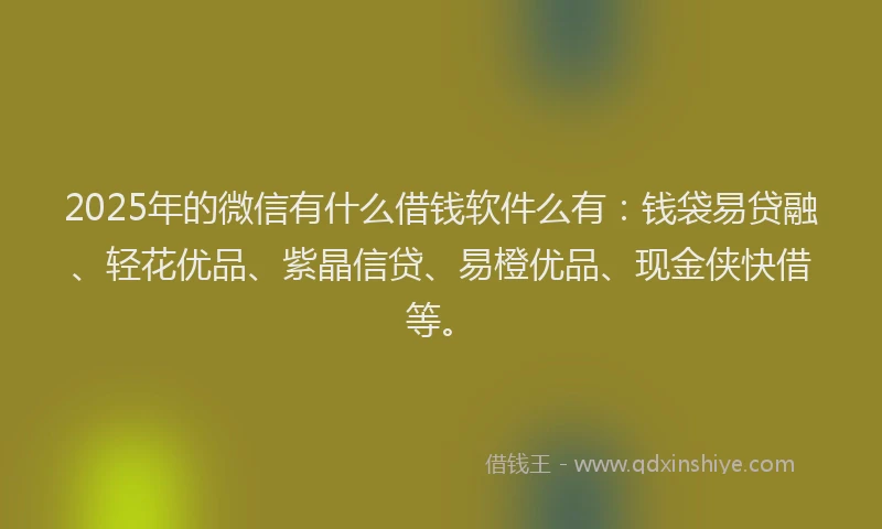 2025年的微信有什么借钱软件么有：钱袋易贷融、轻花优品、紫晶信贷、易橙优品、现金侠快借等。