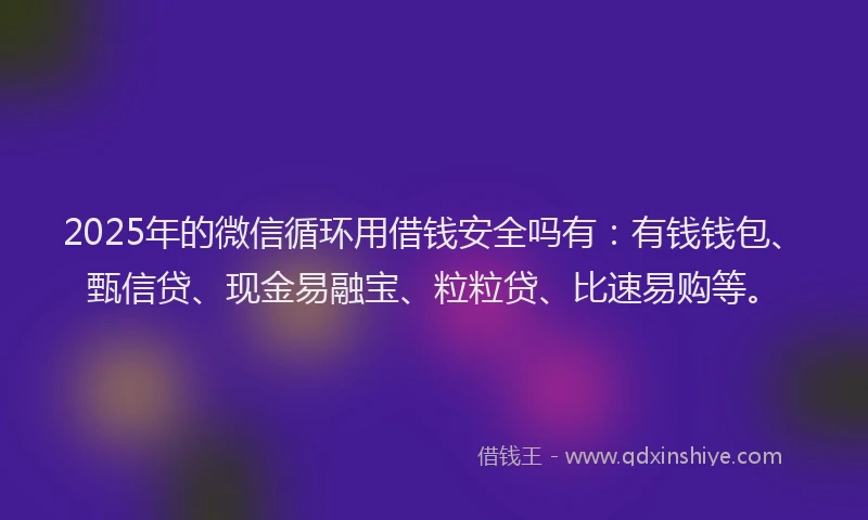 2025年的微信循环用借钱安全吗有：有钱钱包、甄信贷、现金易融宝、粒粒贷、比速易购等。