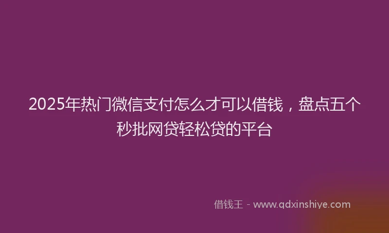2025年热门微信支付怎么才可以借钱，盘点五个秒批网贷轻松贷的平台