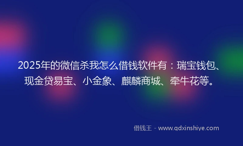 2025年的微信杀我怎么借钱软件有：瑞宝钱包、现金贷易宝、小金象、麒麟商城、牵牛花等。