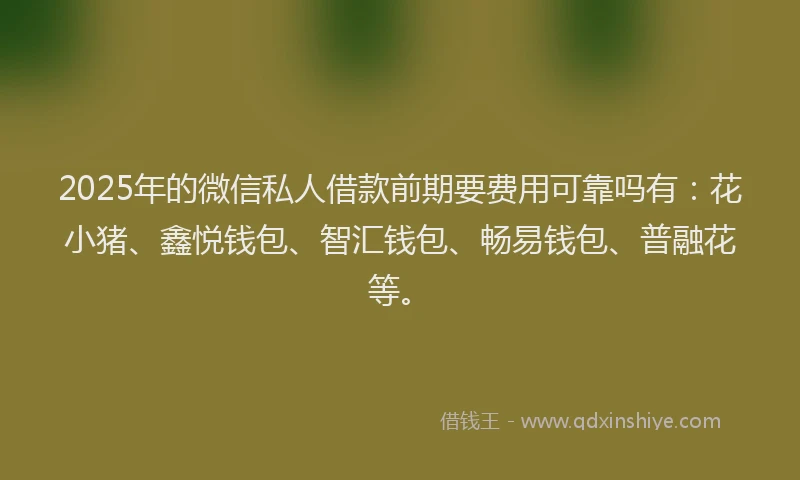 2025年的微信私人借款前期要费用可靠吗有：花小猪、鑫悦钱包、智汇钱包、畅易钱包、普融花等。