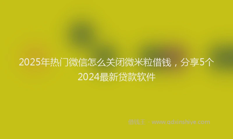 2025年热门微信怎么关闭微米粒借钱，分享5个2024最新贷款软件