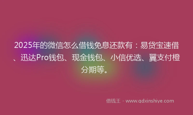 2025年的微信怎么借钱免息还款有：易贷宝速借、迅达Pro钱包、现金钱包、小信优选、翼支付橙分期等。