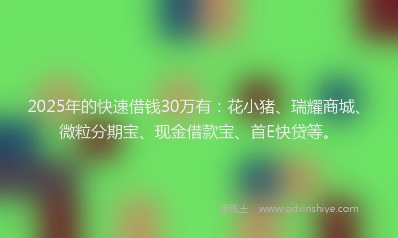 2025年的快速借钱30万有：花小猪、瑞耀商城、微粒分期宝、现金借款宝、首E快贷等。