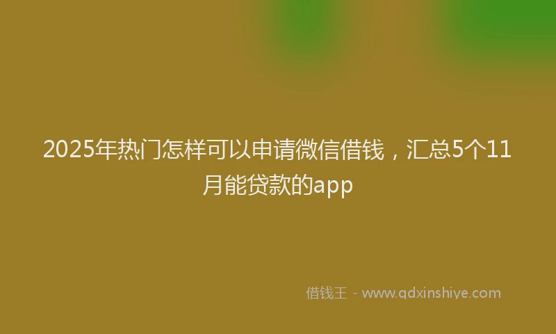 2025年热门怎样可以申请微信借钱，汇总5个11月能贷款的app